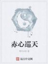 赤心巡天